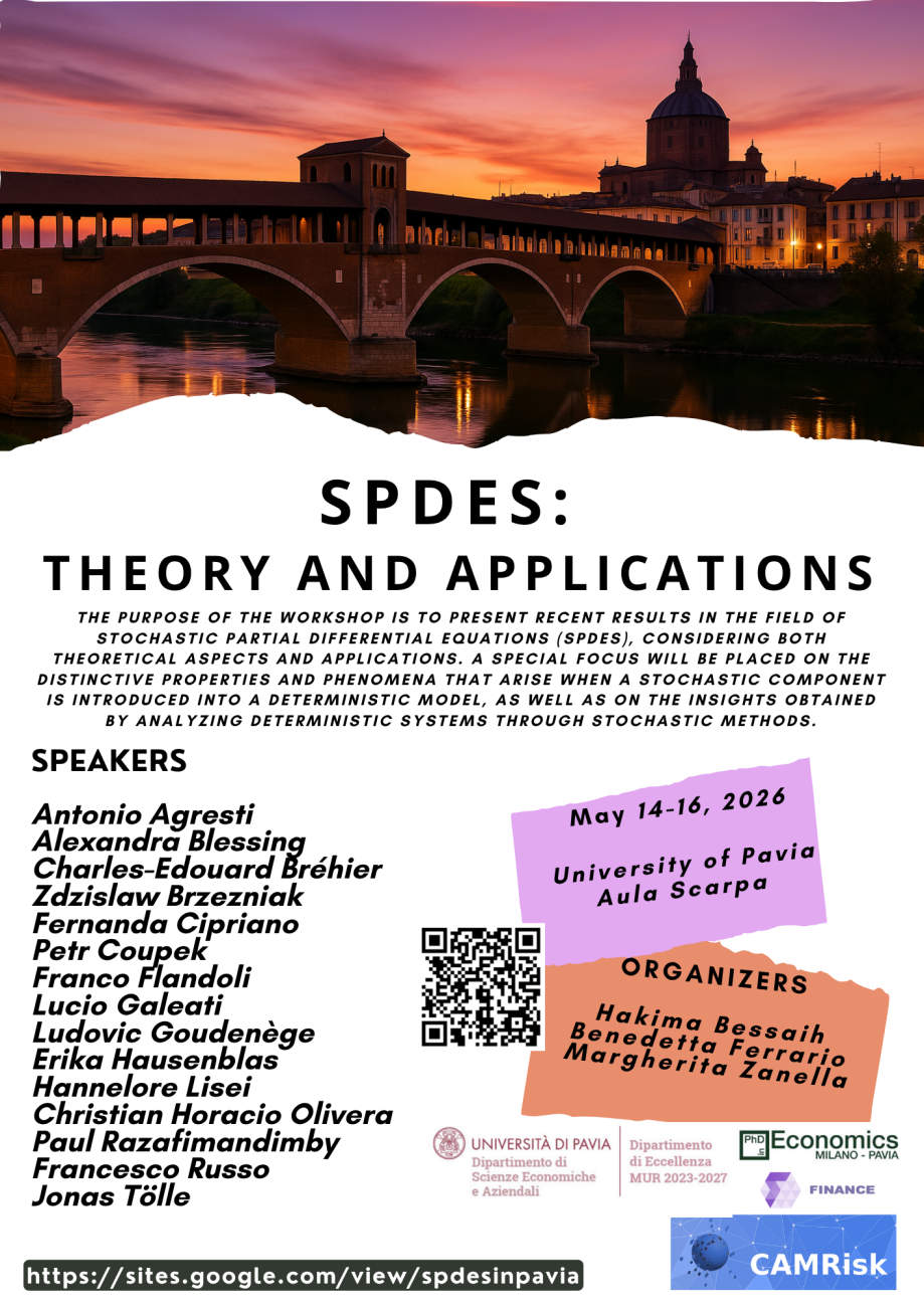 SPDEs locandina